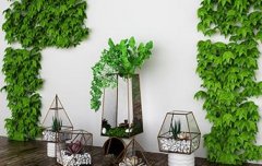 室内绿植创意设计图(植物景观设计案例)